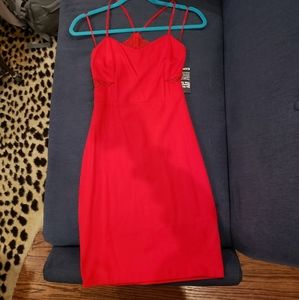 Valentine's Day Red Express Dress, size 0